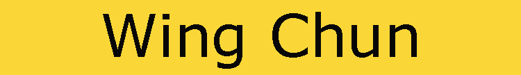 wingchun_unten
